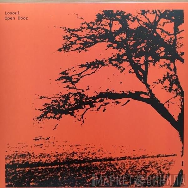 LoSoul - Open Door