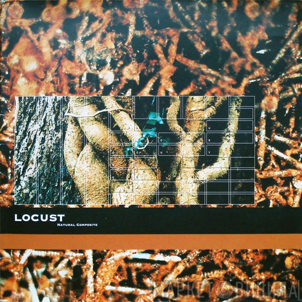 Locust  - Natural Composite