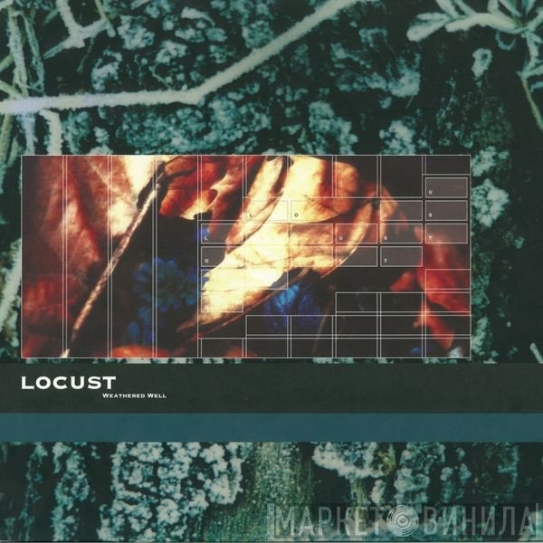 Locust  - Weathered Well
