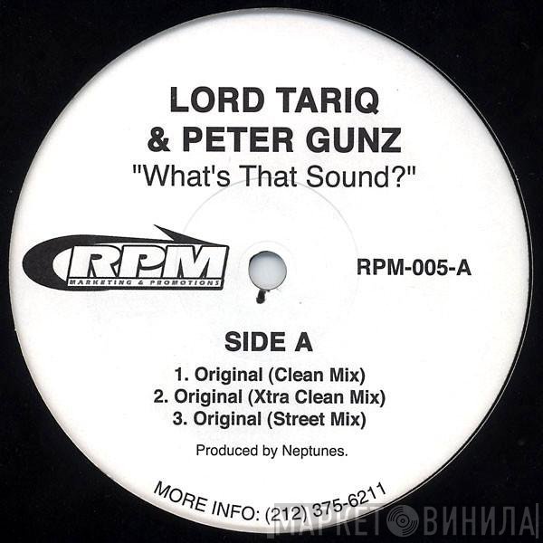 Lord Tariq & Peter Gunz - What's That Sound?