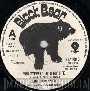 Love Dimension - You Stepped Into My Life