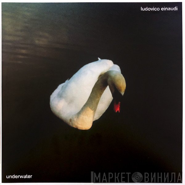 Ludovico Einaudi  - Underwater