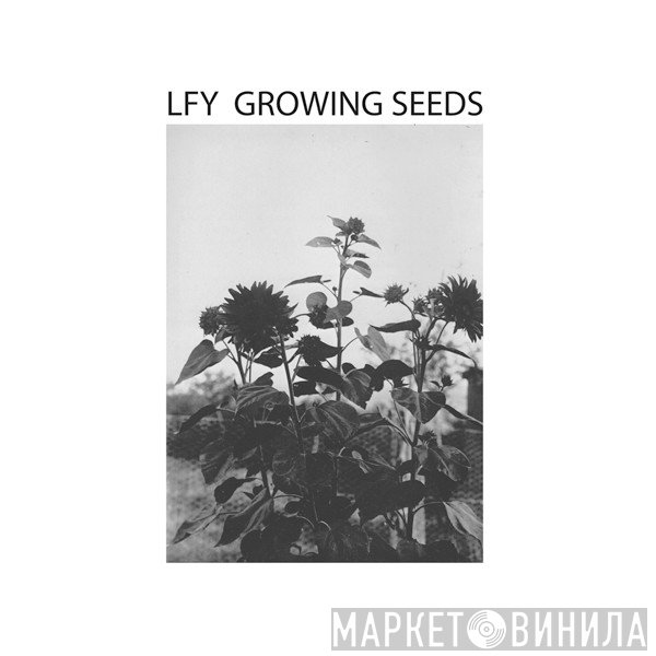 Lust For Youth - Growing Seeds