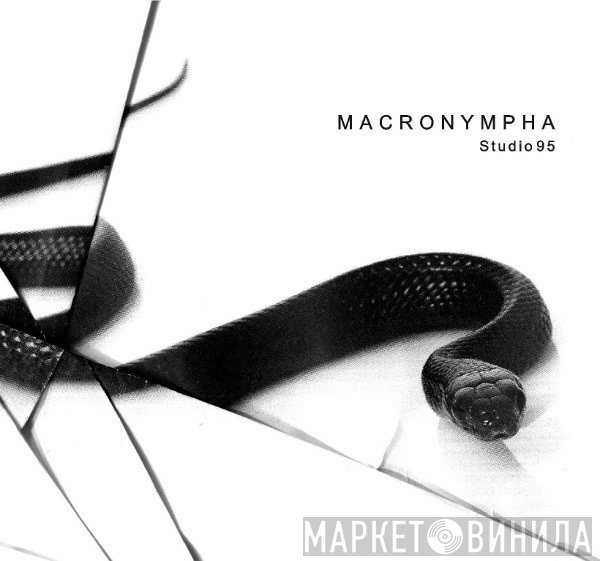 Macronympha  - Studio 95