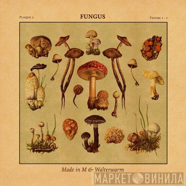 Made In M & Walterwarm  - Fungus