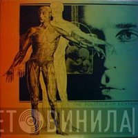 Magic Mushroom Band - The Politics Of Ecstasy