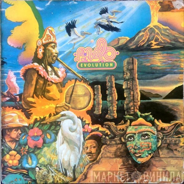 Malo   - Evolution