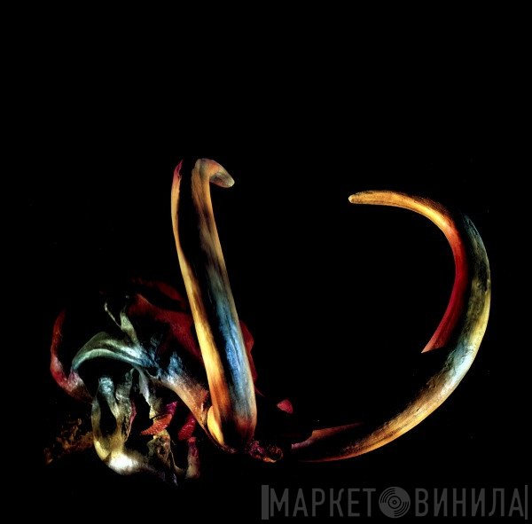 Mammut - Mammut