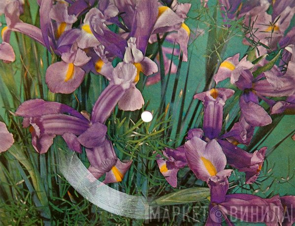 Marie Osmond  - Paper Roses
