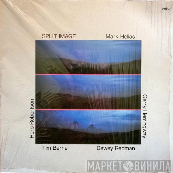Mark Helias - Gerry Hemingway - Dewey Redman - Tim Berne - Herb Robertson  - Split Image