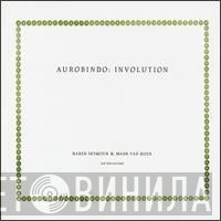 Mark Van Hoen, Daren Seymour - Aurobindo: Involution
