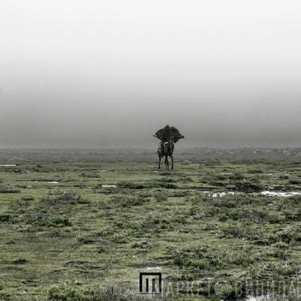 Markus Wormstorm  - Figure In Field