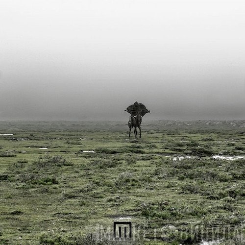 Markus Wormstorm  - Figure In Field