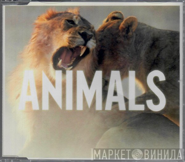 Maroon 5  - Animals