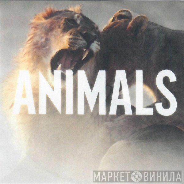 Maroon 5  - Animals