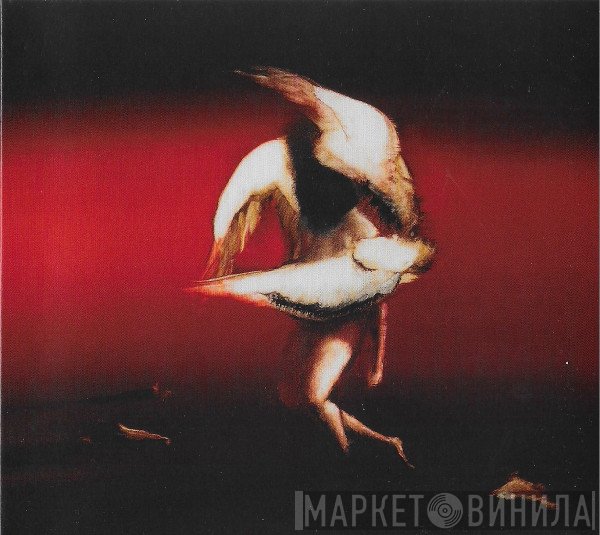 Maruja  - Pain To Power