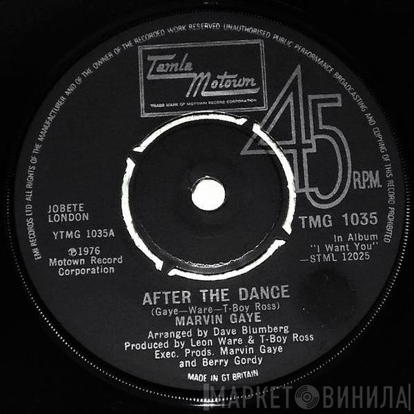 Marvin Gaye - After The Dance