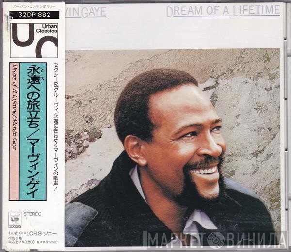 Marvin Gaye - Dream Of A Lifetime