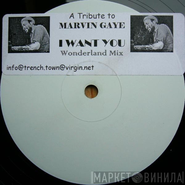 Marvin Gaye - I Want You (Wonderland Remix)