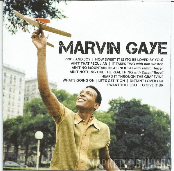 Marvin Gaye  - Icon