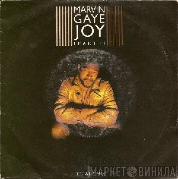 Marvin Gaye - Joy (Part 1)