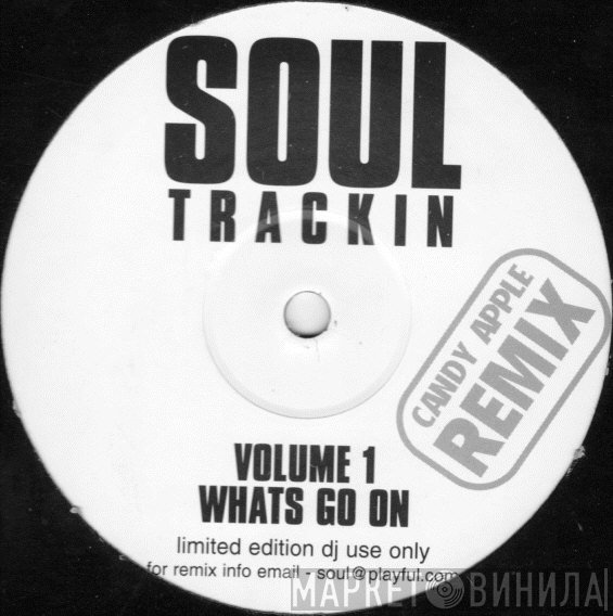 Marvin Gaye - Soul Trackin Volume 1