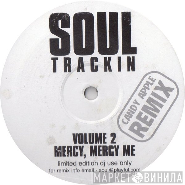 Marvin Gaye - Soul Trackin Volume 2
