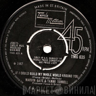 Marvin Gaye, Tammi Terrell - If I Could Build My Whole World Around You