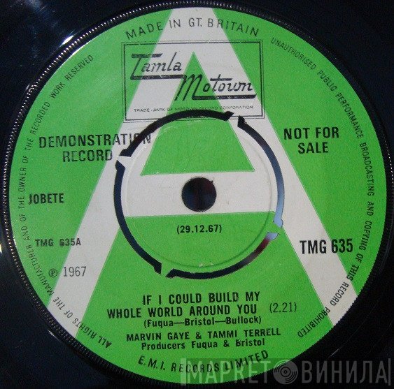 Marvin Gaye, Tammi Terrell - If I Could Build My Whole World Around You