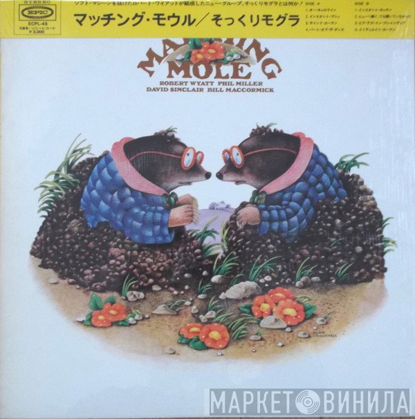 Matching Mole  - Matching Mole