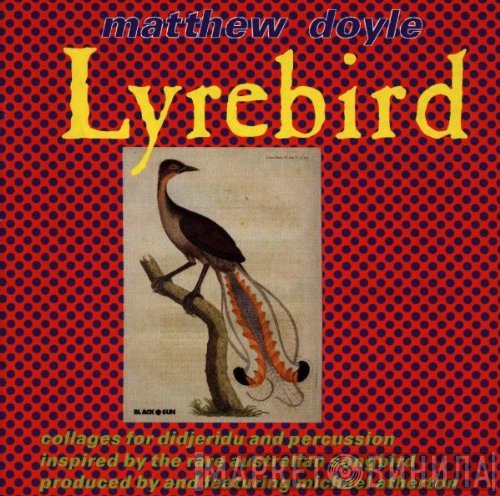 Matthew Doyle - Lyrebird