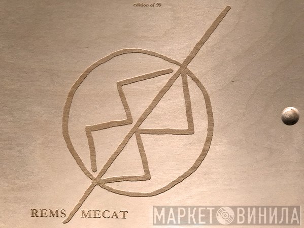 Maurizio Bianchi - REMS/MECAT