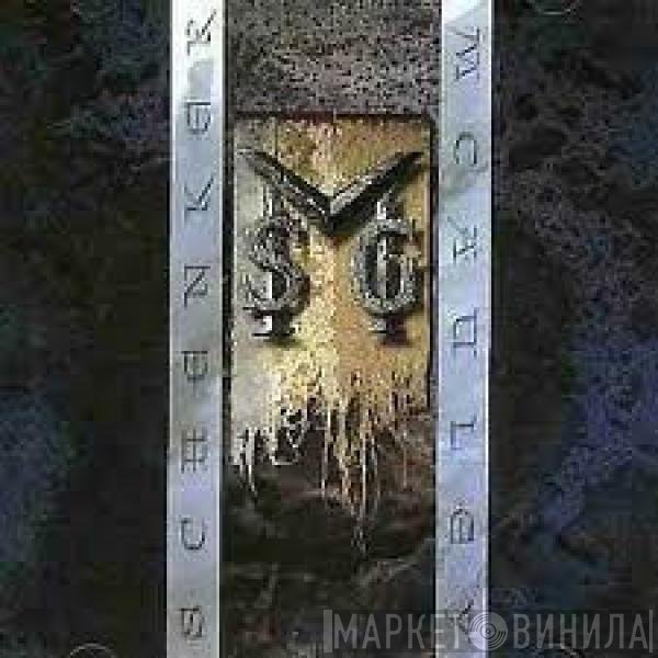 McAuley Schenker Group  - Msg
