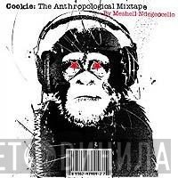 Me'Shell NdegéOcello - Cookie: The Anthropological Mixtape