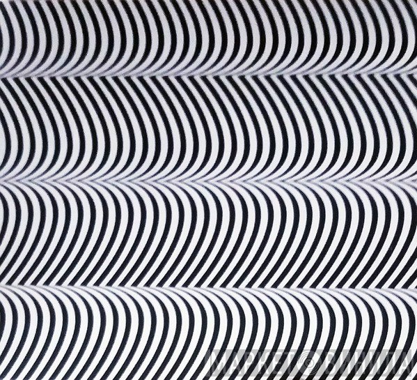 Merzbow  - Pulse Demon