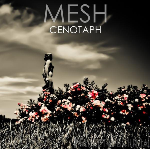 Mesh   - Cenotaph