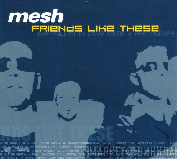 Mesh   - Friends Like These