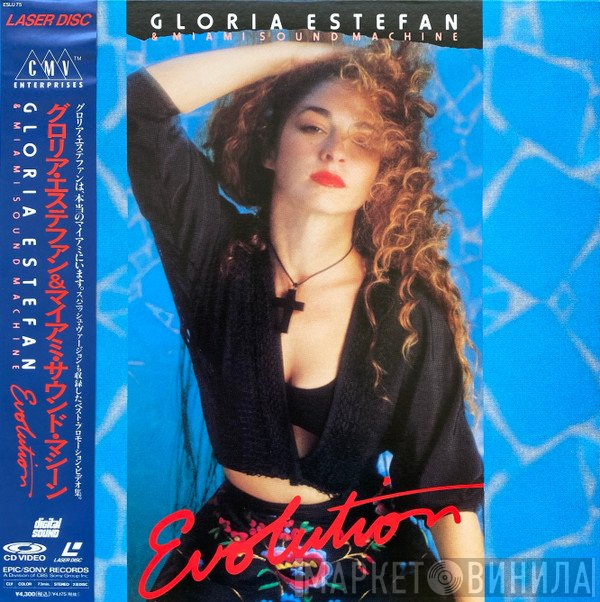 Miami Sound Machine  - Evolution