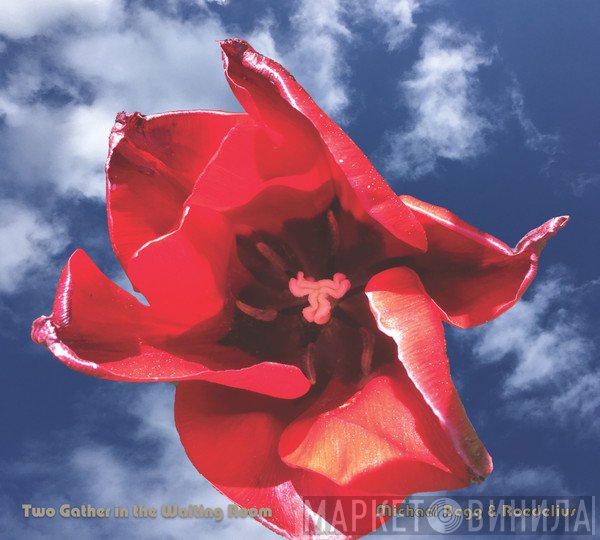 Michael Begg & Hans-Joachim Roedelius  - Two Gather In The Waiting Room