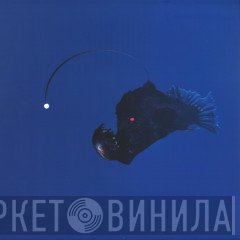 Michael Melchner - No Light Below