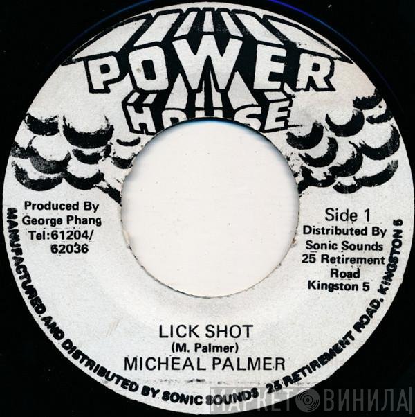 Michael Palmer - Lick Shot
