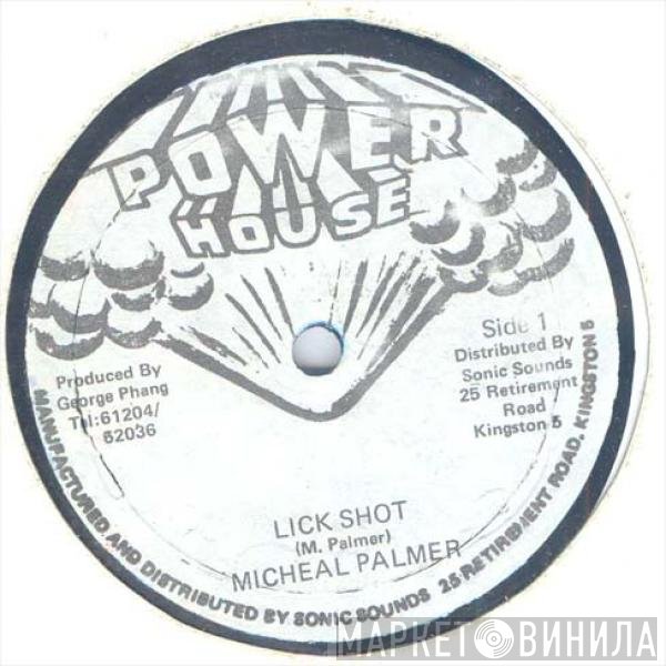 Michael Palmer - Lick Shot