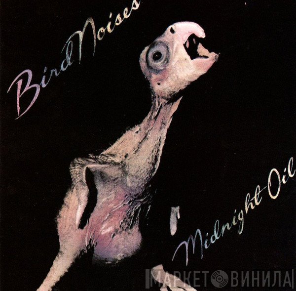 Midnight Oil  - Bird Noises