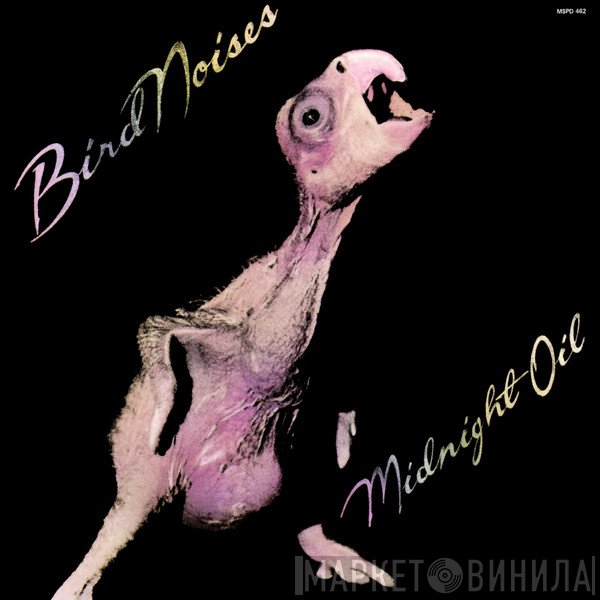 Midnight Oil  - Bird Noises