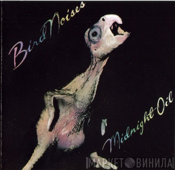 Midnight Oil  - Bird Noises