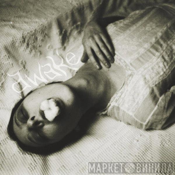 Mike Shiflet & High Aura'd  - Awake