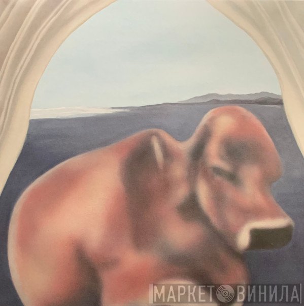 Mikey Young - Curtains