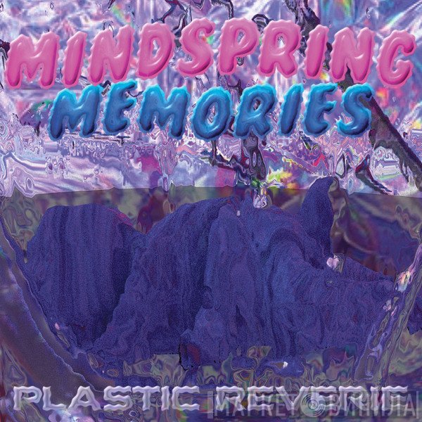 MindSpring Memories  - Plastic Reverie