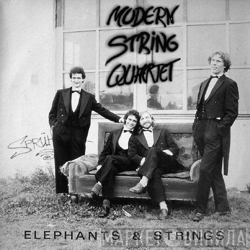 Modern String Quartet  - Elephants & Strings