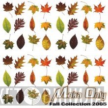 Moka Only  - Fall Collection 2005
